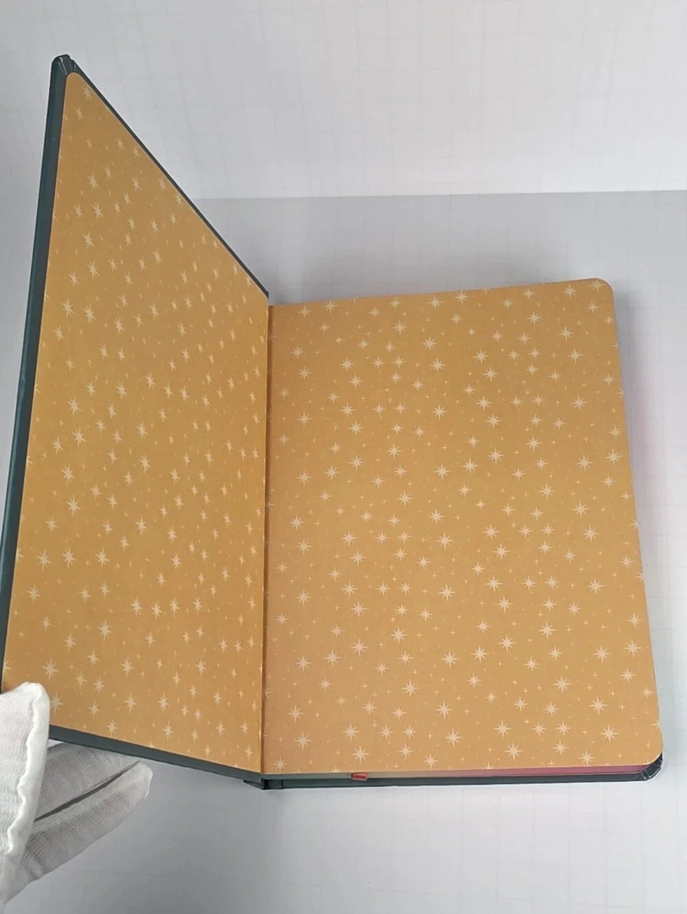 JAMES BURKE JOURNALING COLLECTION.